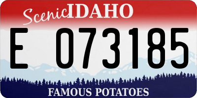 ID license plate E073185