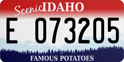 ID license plate E073205