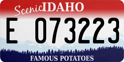 ID license plate E073223