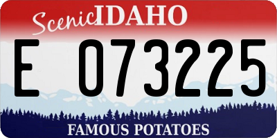 ID license plate E073225
