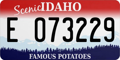 ID license plate E073229