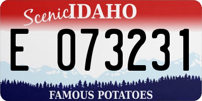 ID license plate E073231