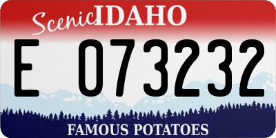 ID license plate E073232