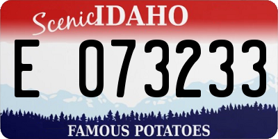ID license plate E073233