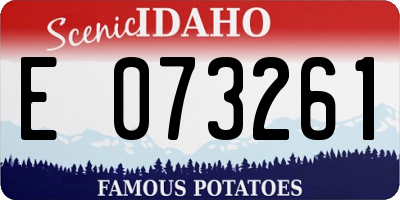 ID license plate E073261
