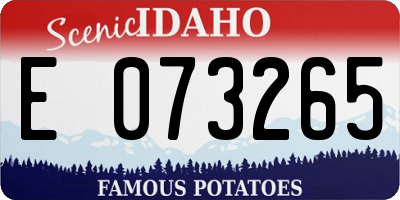 ID license plate E073265