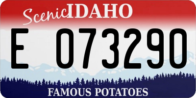 ID license plate E073290
