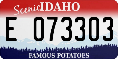ID license plate E073303