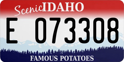 ID license plate E073308