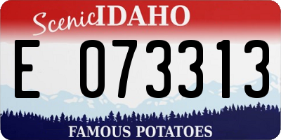 ID license plate E073313