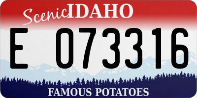ID license plate E073316