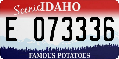 ID license plate E073336