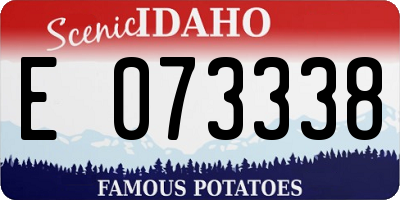 ID license plate E073338