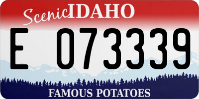 ID license plate E073339