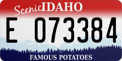 ID license plate E073384