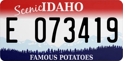ID license plate E073419