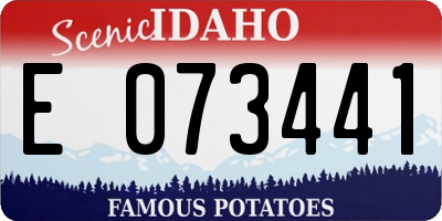 ID license plate E073441