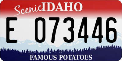 ID license plate E073446