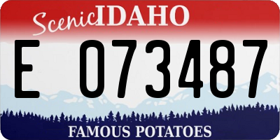 ID license plate E073487