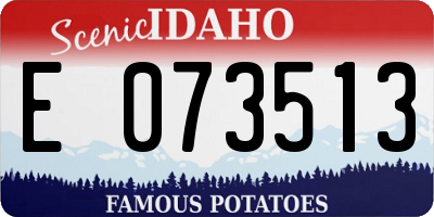 ID license plate E073513
