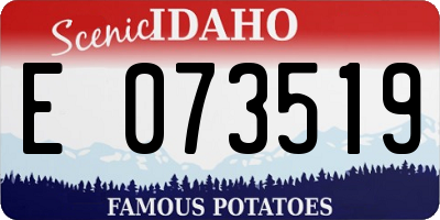 ID license plate E073519
