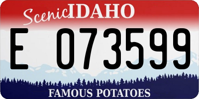 ID license plate E073599