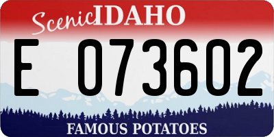 ID license plate E073602