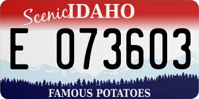 ID license plate E073603