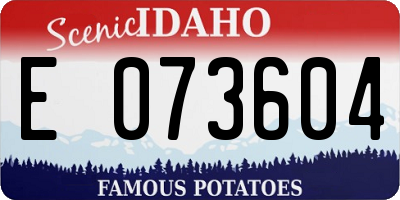 ID license plate E073604