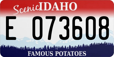 ID license plate E073608