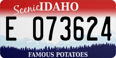 ID license plate E073624