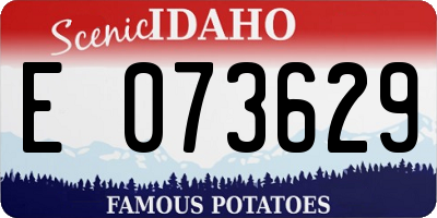 ID license plate E073629