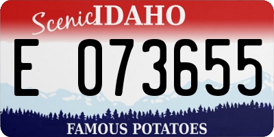 ID license plate E073655