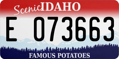 ID license plate E073663