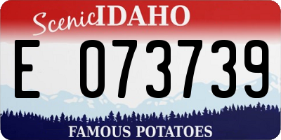 ID license plate E073739