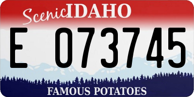 ID license plate E073745