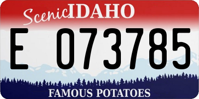 ID license plate E073785