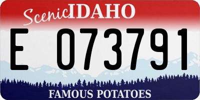ID license plate E073791
