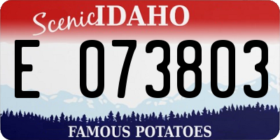 ID license plate E073803
