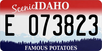 ID license plate E073823