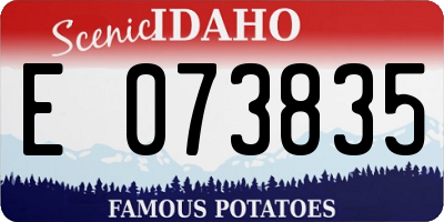 ID license plate E073835