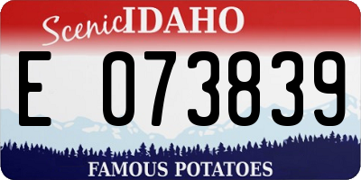 ID license plate E073839