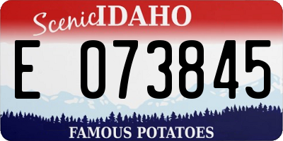ID license plate E073845