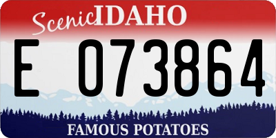 ID license plate E073864
