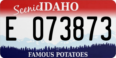 ID license plate E073873