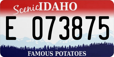ID license plate E073875