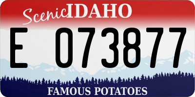 ID license plate E073877