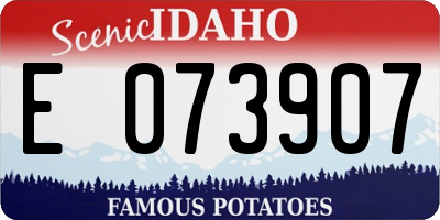 ID license plate E073907