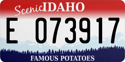 ID license plate E073917
