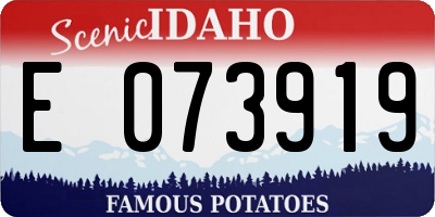 ID license plate E073919